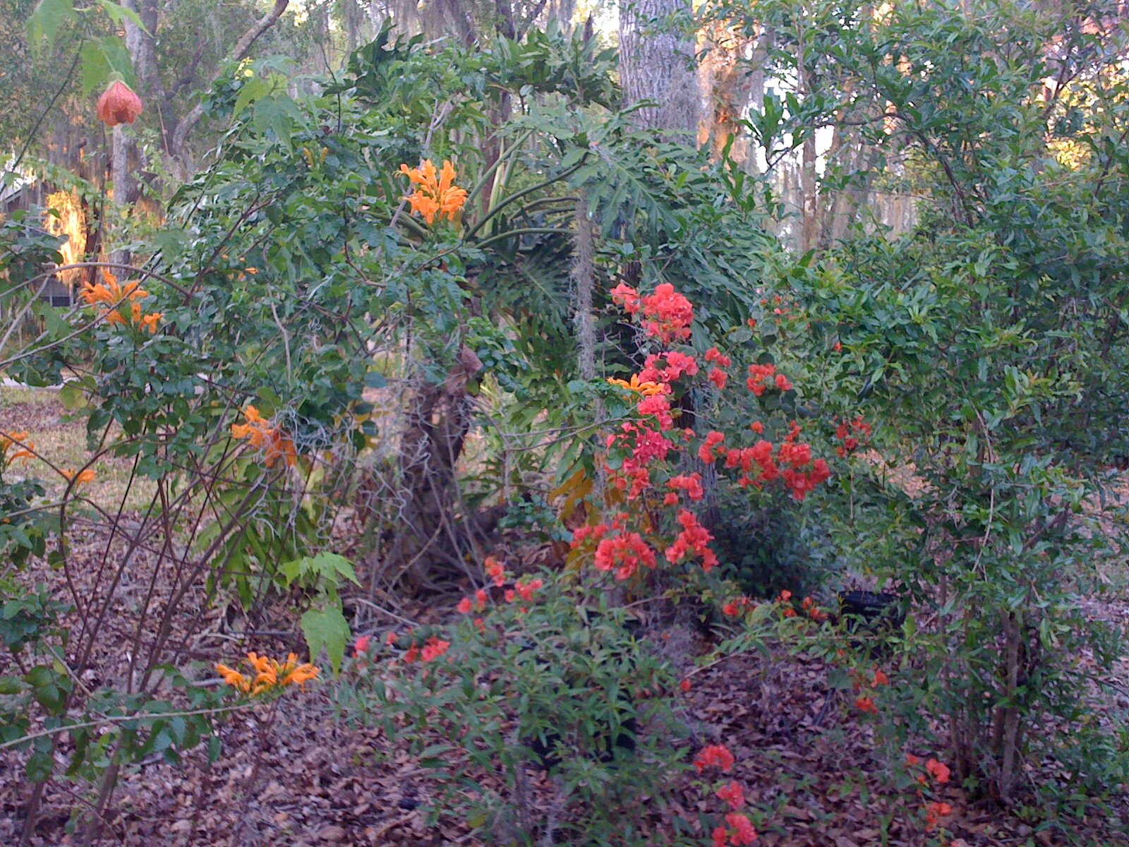 Rangy and wild — but planned. Photo by Jenny Zoe Casey