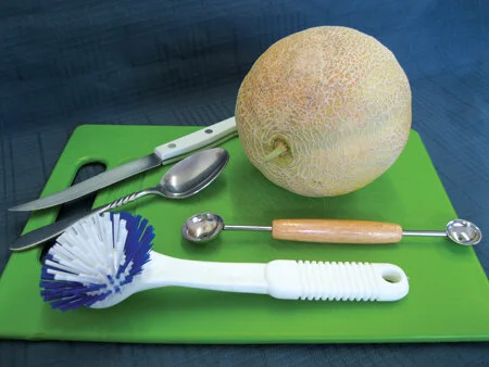 A tiny bit of stem indicates that this melon was harvested before full ‘slip’ maturity  —  to beat the raccoons to it. Photo by Barb Henny
