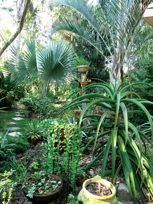 This garden’s many layers create warmer microclimates. Photo by Ana Eire