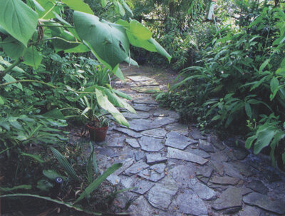 Paved with sparkly black rocks, this garden room is like a tropical creek bed. Photo by Ana Eire