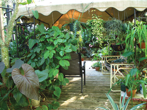 This is just one of many inviting sitting areas in this garden.  Photo by Ana Eire