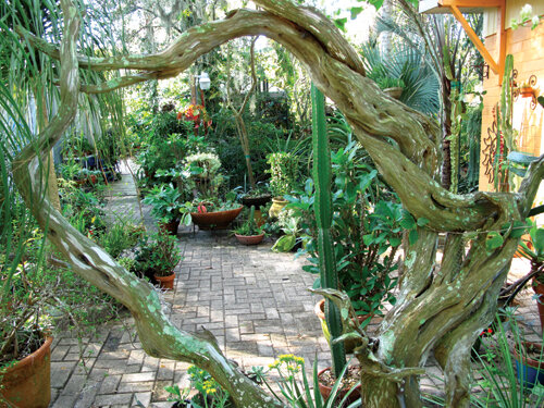 A sculpture-like piece of driftwood frames a view of the patio.  Photo by Ana Eire