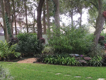Trees pruned for a high canopy will let in more sun so the lawn can thrive. Photo by Monica Brandies