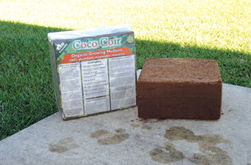 Coconut coir comes in compressed blocks that weigh 5 kilograms and in smaller 250-gram bricks.  Photo by Dotti Hydue
