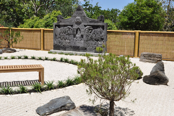 Near the entrance, a witch’s broom is grafted onto sand pine rootstock.    Photo by Tom Hewitt